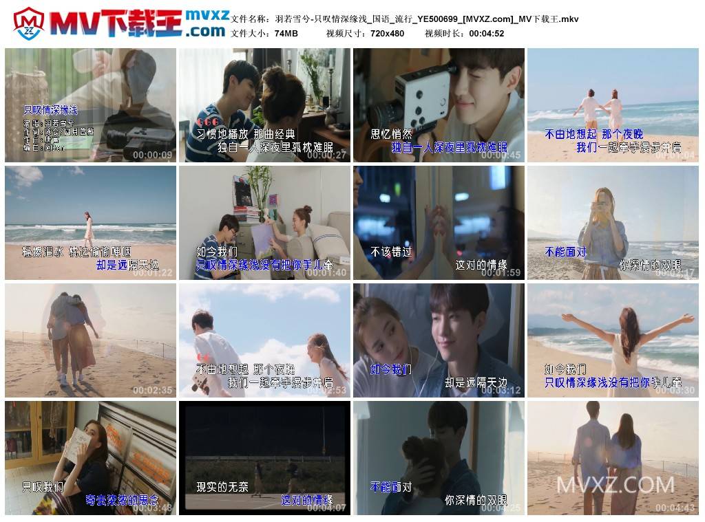 羽若雪兮-只叹情深缘浅_国语_流行_YE500699